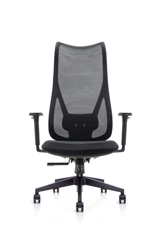 כסא מנהלים גבוה דגם רובינסון 3