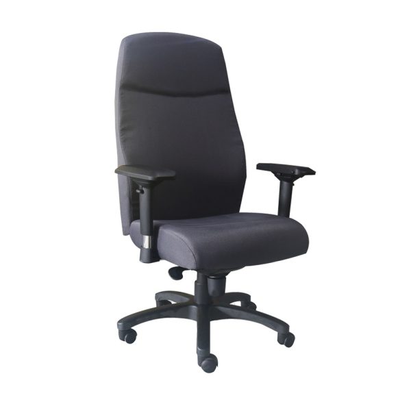 כסא מנהלים דגם טיסונה נמוך 5